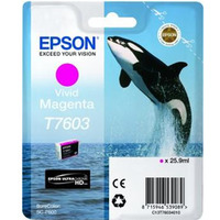 EPSON C13T76034010 Tusz Epson Singlepack vivid magenta SureColor SC-P600