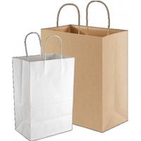 Torby papierowe ekologiczne Ecobag, 250 szt., biay / 100g, 240 x 100 x 320 mm